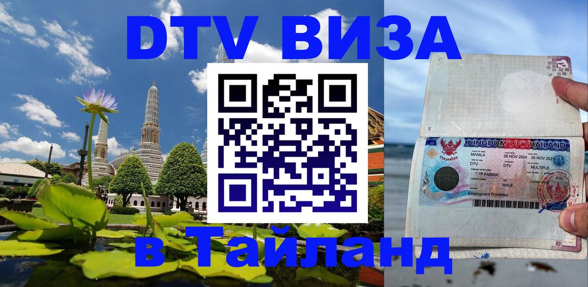 Сколько стоит DTV виза — актуальные цены, оформление даже без документов - 